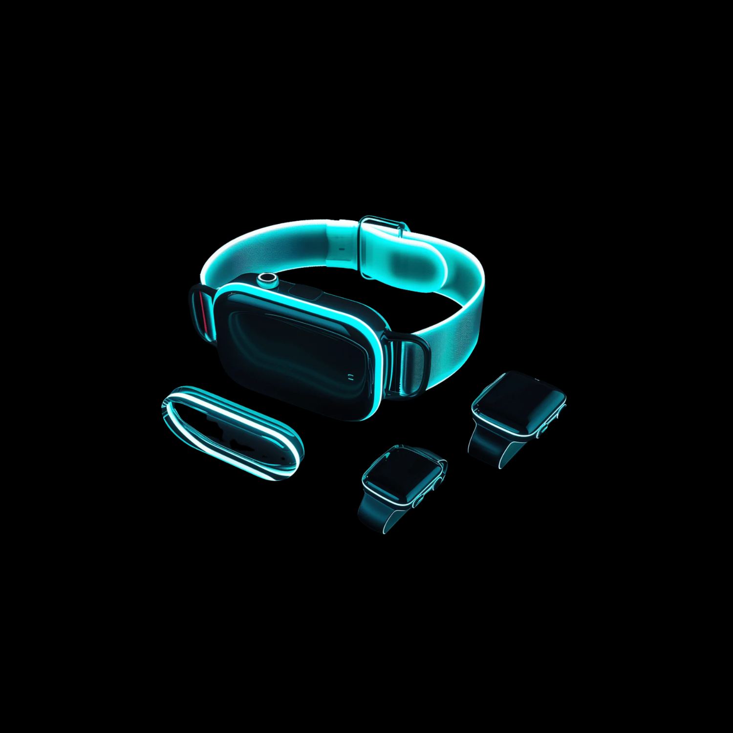Wearables